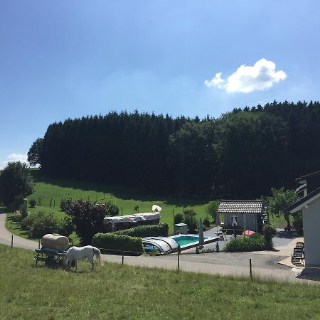 Apartament Hafners Im Allgaeu Kißlegg Zewnętrze zdjęcie