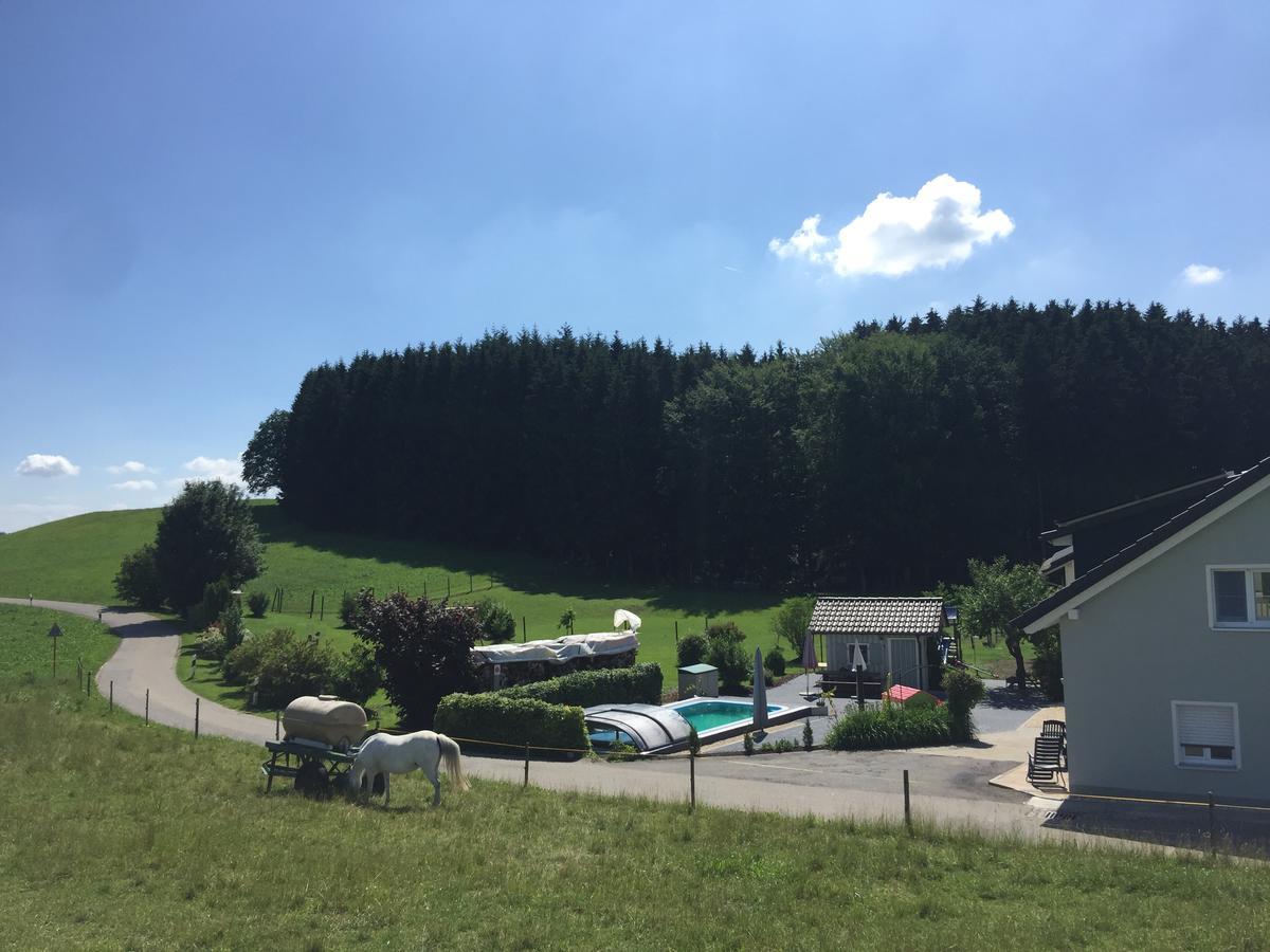 Apartament Hafners Im Allgaeu Kißlegg Zewnętrze zdjęcie